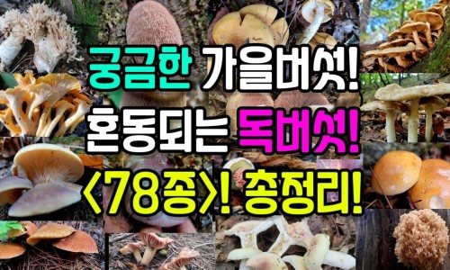 热的时候脸发红发烫-热的时候脸不出汗只发红怎么办网—知名的热的时候脸不出汗只发红怎么办呢网站,分享热了脸红不出汗知识