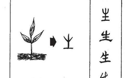 热的时候脸发红发烫-热的时候脸不出汗只发红怎么办网—知名的热的时候脸不出汗只发红怎么办呢网站,分享热了脸红不出汗知识